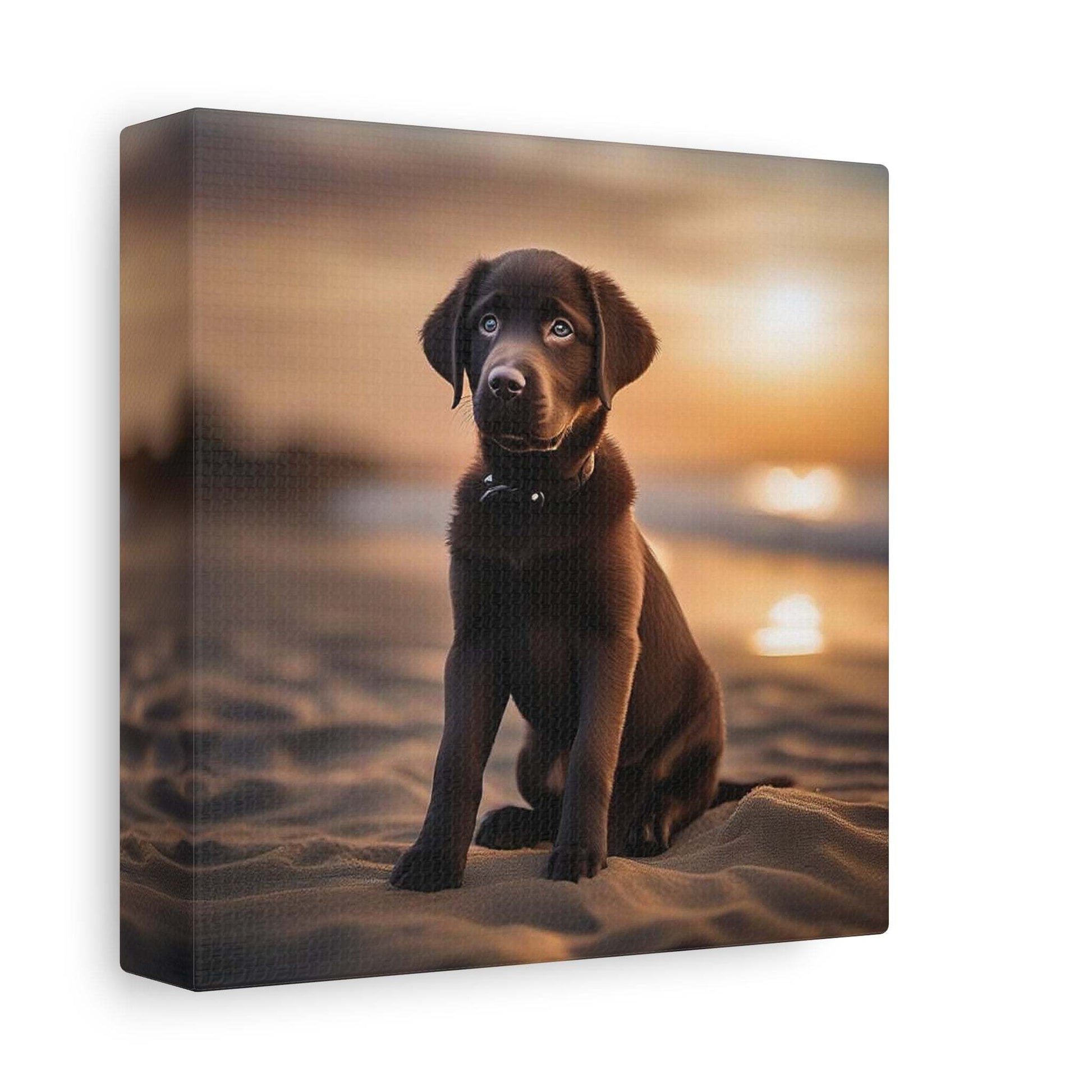 labrador print, labrador puppy