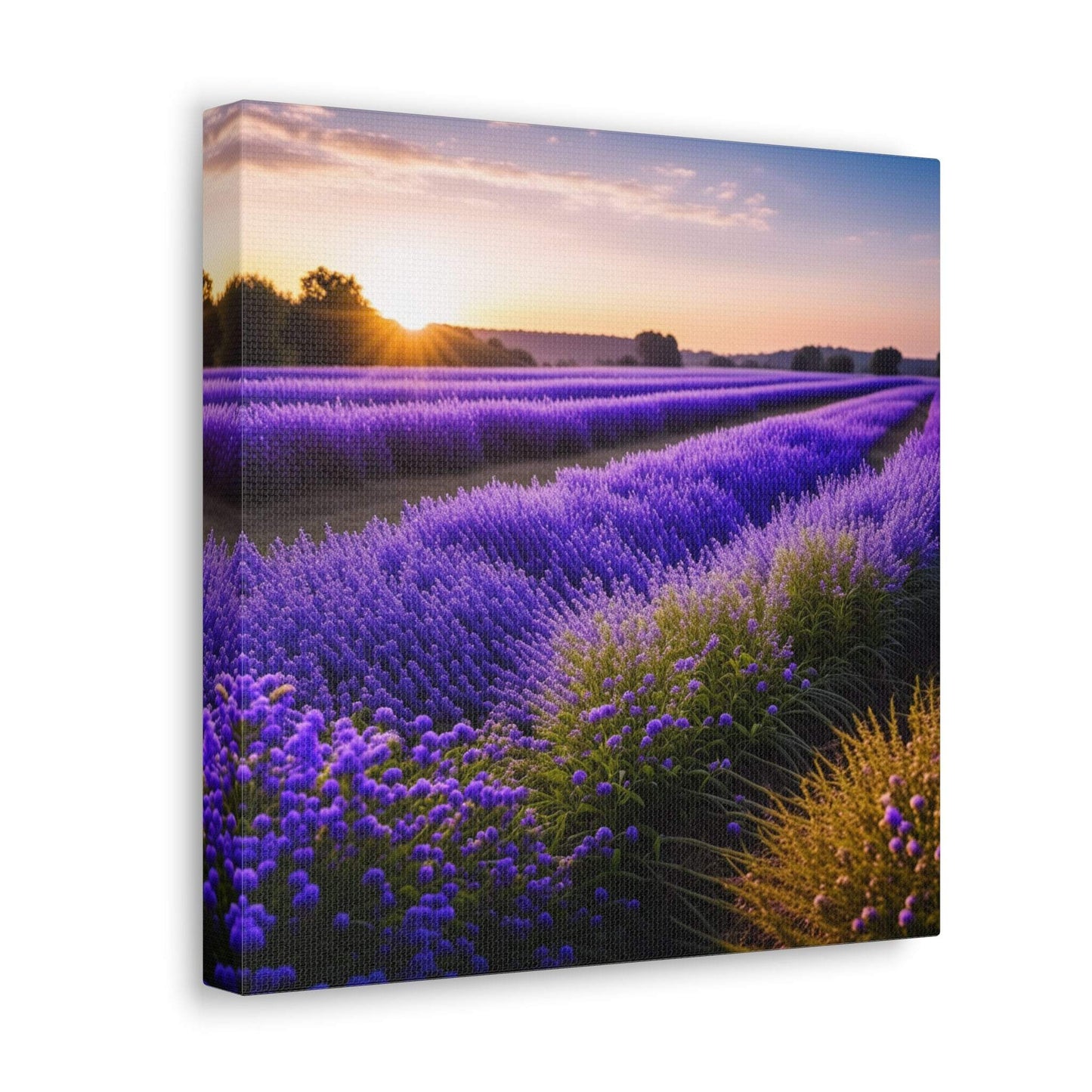 lavender wall art, lavender canvas, landscape art