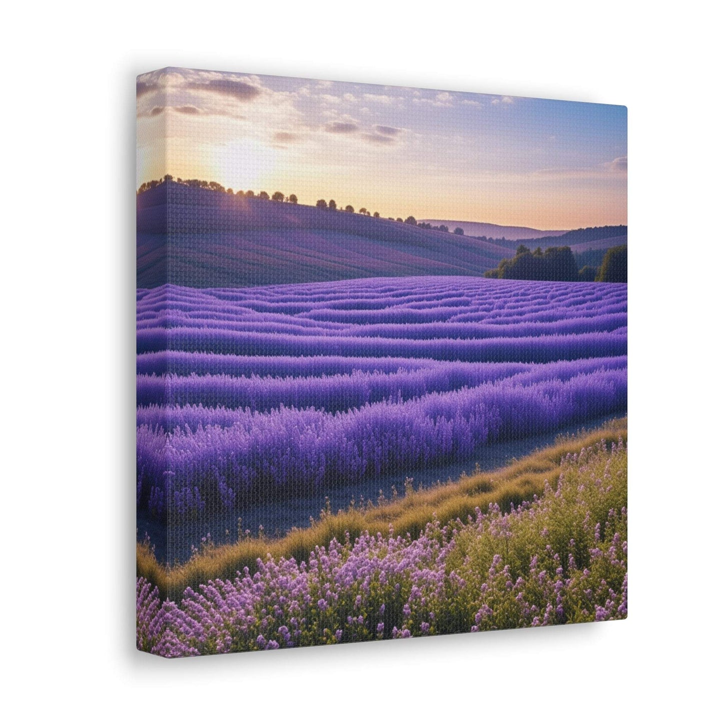 lavender wall art, lavender canvas, landscape art